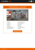 IVECO TurboCity 480 / 580 Bremsensatz, Trommelbremse: PDF-Anleitung zur Erneuerung