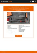 Podrobný PDF tutorial k výmene VW TRANSPORTER VI Platform/Chassis (SFD, SFE, SFL, SFZ) Brzdový strmeň