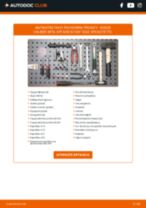 Αντικατάσταση Φωτισμός πινακίδας κυκλοφορίας αλογόνου και LED ISUZU PICKUP: οδηγίες pdf