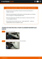 MG RX8 Kraftstofffilter Diesel tauschen: Handbuch pdf