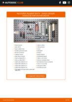Instalare Rulment spate și față DODGE cu propriile mâini - online instrucțiuni pdf