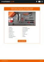Online manual til udskiftning på egen hånd af Forhjulslejer på VW CADDY III Estate (2KB, 2KJ, 2CB, 2CJ)