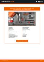VW CADDY III Estate (2KB, 2KJ, 2CB, 2CJ) Radlager hinten und vorne tauschen: Handbuch pdf