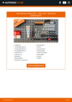 Koplamp matrix LED veranderen Fiat Talento 296: instructie pdf