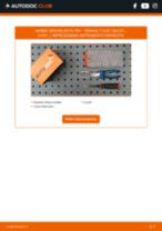 DIY rokasgrāmata par Degvielas filtrs nomaiņu RENAULT CLIO