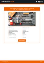 Online käsiraamat Rattalaager iseseisva asendamise kohta RENAULT CLIO III Box (SB_, SR_)