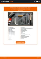 PDF manuale sulla manutenzione 1 Hatchback (E87) 118 d