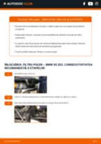 Manualul online pentru schimbarea Piston la Renault Safrane 2