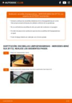 Manual de instrucciones Mercedes SLK R172 2018