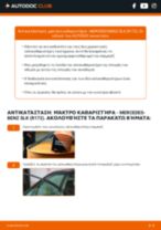 Εγχειριδιο κατοχου Mercedes SLK R172 2018