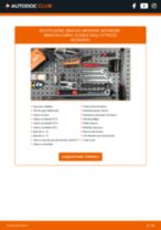 SEAT TERRA Box (024A) Kit Revisione Pinze Freno sostituzione: tutorial PDF passo-passo