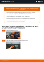Manualul online pentru schimbarea Rola accesorii la SEAT FURA