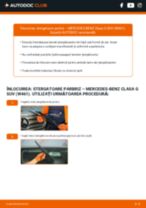 Reparație pas cu pas Clasa G SUV (W461) 2019 - carte tehnica