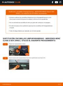 Cómo sustitución de Escobillas de Limpiaparabrisas 250 GD 2.5 Mercedes W461