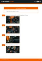 How to replace and adjust Tailgate struts : free pdf guide