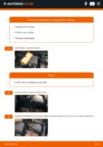 Kako zamenjati in prilagoditi Zracni filter: brezplačen vodnik pdf