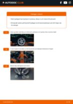 Hur byter man och justera Hjullagersats fram och bak: gratis pdf guide