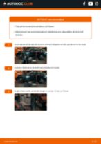 Hur byter man och justera Reparationssats bromsok : gratis pdf guide