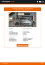 SKODA E-CITIGO (NE1) Nebelscheinwerfer Set: Online-Handbuch zum Selbstwechsel