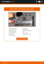 Manual online sobre a substituição de Kit De Montagem Sistema De Escape em Skoda Roomster Praktik