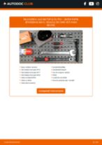 SKODA Rapid Spaceback (NH1) 2020 carte tehnica de reparație și întreținere