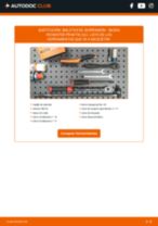 PDF manual sobre mantenimiento ROOMSTER Praktik (5J) 1.4 TDI