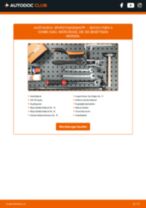 Reparatur- und Servicehandbuch für SKODA Fabia II Combi (545) 2010