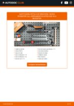 Tutorial de reparación y mantenimiento de SKODA Roomster (5J) 2011