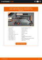 Como substituir Cabeçote amortecedor traseiro e dianteiro SKODA ROOMSTER Praktik (5J) - manual online