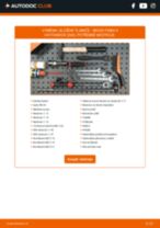 Manuální PDF pro údržbu Fabia II Hatchback (542) 1.9 TDI