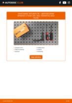 Automargi MERCEDES-BENZ SPRINTER 2-t Box (901, 902) tee-seda-ise hoolduse PDF-juhised