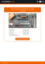 Reemplazar Polea tensora de banda de distribucion FIAT DOBLO: pdf gratis
