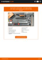 Schimbare Buson Rezervor FIAT DOBLO: manual de intretinere si reparatii