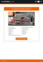 Manuale online su come cambiare Kit cinghia servizi Mini R56