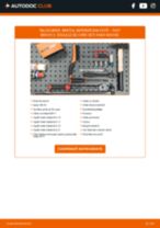 Manualul online pentru schimbarea Comutator lumini la RENAULT PULSE