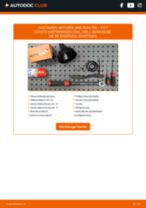FIAT DUCATO Box (250) Ölfilter: Schrittweises Handbuch im PDF-Format zum Wechsel