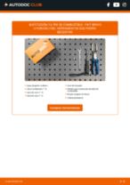 PDF manual sobre mantenimiento BRAVO