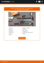 DIY-manual för byte av Stabilisatorstag i FIAT LINEA