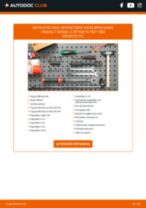 Αντικατάσταση Προθερμαντήρας AUSTIN-HEALEY SPRITE: οδηγίες pdf