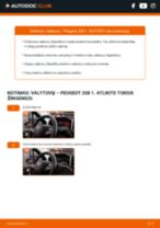 Kaip pakeisti Stiklo valytuvai mano J9 Bortinis Sunkvežimis/Važiuoklė 2.3 D? Išsamios instrukcijos