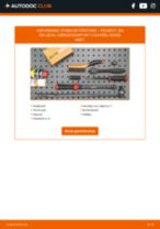 Stap-voor-stap PDF-handleidingen over het veranderen van PEUGEOT 206 SW (2E/K) Stabilisatorstang