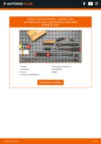Online kézikönyv – saját kezű PEUGEOT 206+ (T3E) Stabilizátor összekötő csere