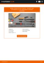 Tiešsaistes rokasgrāmata, kā pašam mainīt Savienotājstienis uz PEUGEOT 206+ (T3E)