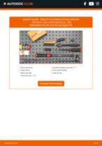 Manual online sobre a substituição de Bieleta de barra estabilizadora em PEUGEOT 206+ (T3E)