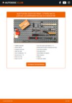 Manual de taller para Ami EV Electric (9AZ2CA) en línea