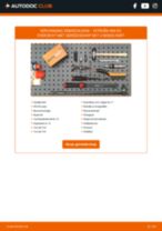 Werkplaatshandboek voor Ami EV Electric (9AZ2CA)