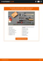 Instalare Ulei de transmisie CITROËN cu propriile mâini - online instrucțiuni pdf