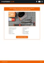 Come cambiare Kit cinghia servizi PEUGEOT 4007 - manuale online