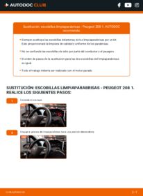 Cómo sustitución de Escobillas de Limpiaparabrisas 1.4 HDi Peugeot 208 I