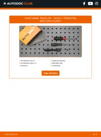 Kuidas välja vahetamist läbi viia: DS DS 3 1.6 BlueHDi 100 (SABHY0, SABHYT) Õhufilter